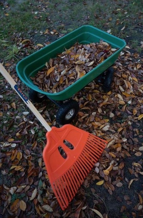 Grabie do lisci z tworzywa 27 z trzon