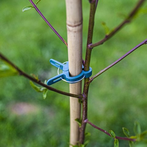 Klipsy do spinania roślin 20 szt (721001)