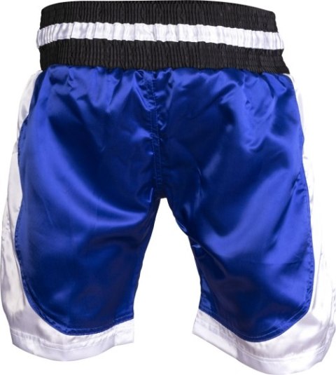 Spodenki do kick lightu TOP TEN ( WAKO APPROVED)