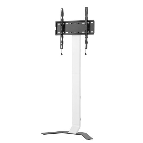 MANHATTAN Stojak podłogowy TV 32-70" do 40kg regulowany slim 361834