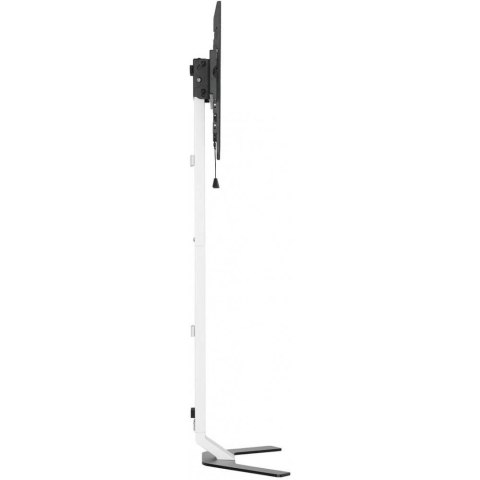 MANHATTAN Stojak podłogowy TV 32-70" do 40kg regulowany slim 361834