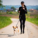 Pas biodrowy do biegania z psem z saszetką elastyczną smyczą - czarny