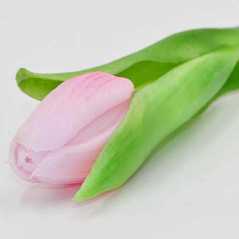TULIPAN RÓŻOWY 31CM JAK ŻYWY DEKORACJA WIOSENNA