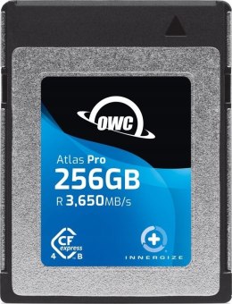 Karta pamięci OWC 256 GB
