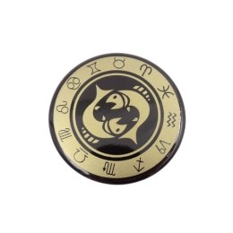 Magnes Ryby znak zodiaku