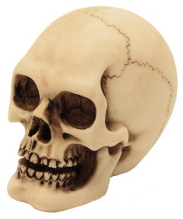 Czaszka Figurka Model Dekoracja Halloween Gadżet Prezent - MC-30683