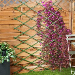 Podpora do roślin zielona rozkładana 200x100cm PROGARDEN 339390