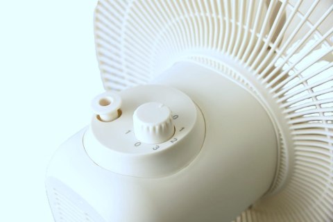 Wentylator stojący wiatrak 40W Best Fan BT-002