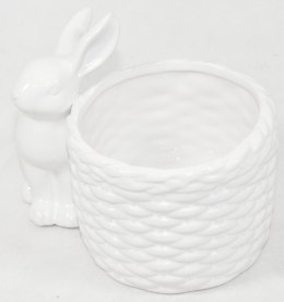 Osłonka Z Zajączkiem