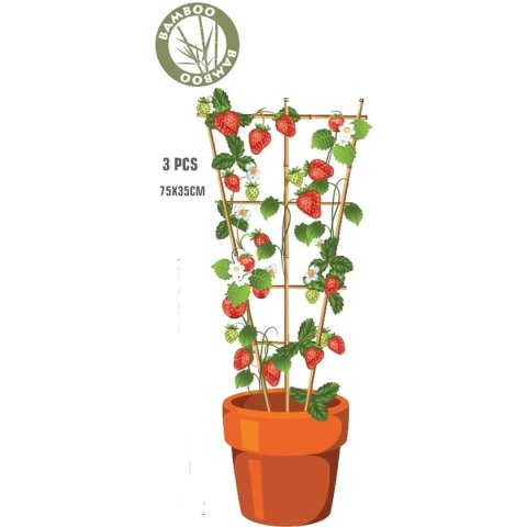PODPORA DO ROŚLIN BAMBUSOWA DRABINKA 75 CM 3SZT PROGARDEN