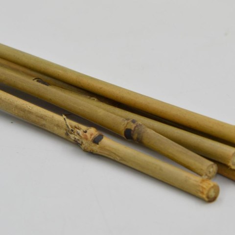 PODPORA DO ROŚLIN BAMBUSOWA TYCZKA 60 CM 10SZT PROGARDEN