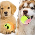 PIŁKA TENIS ZIEMNY DLA PSA 5SZT