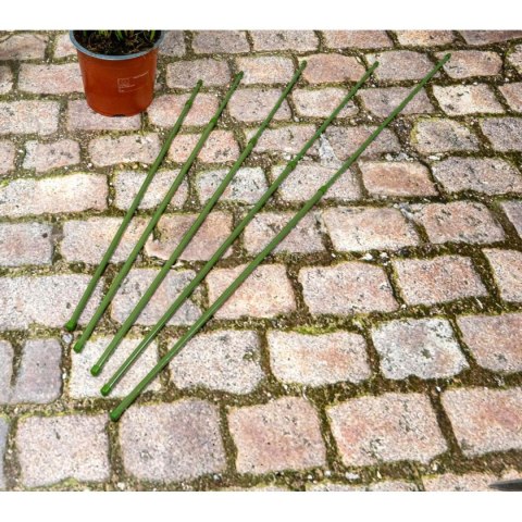PODPORA TYCZKA DO ROŚLIN 6SZT 50-80CM KINZO
