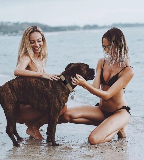 Etui na Apple AirTag silikonowe na obrożę psa lub kota - czarne