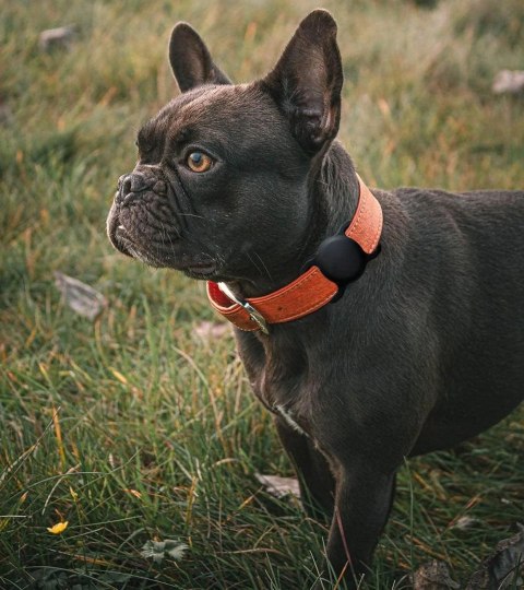 Etui na Apple AirTag silikonowe na obrożę psa lub kota - czarne