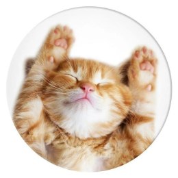 Uchwyt Popsockets 2 Snoozy Cat i podstawka do telefonu
