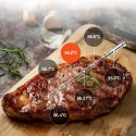 Termometr kuchenny Meatmeet S Pro z aplikacją Bluetooth do grilla piekarnika wędzarni - szary