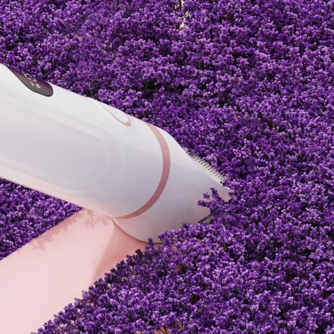 Trymer damski MAXGROOM M-105 3w1 do ciała i twarzy - biały