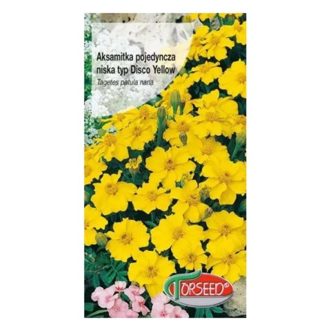 Aksamitka poj.niska 1g Tagetes pat.nana typ
