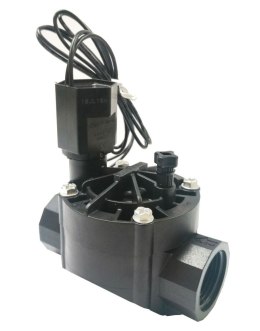Elektrozawór Rain Bird 100-HV 1'24V s.nawadniające