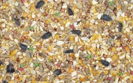 Mieszanka dla ptaków Classic omix 10kg