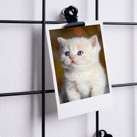 Kratka na zdjęcia metalowa czarna 58x36cm VILDE 569658