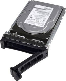 DELL 345-BGVS (480 GB /2.5