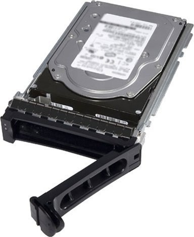 DELL 345-BGVS (480 GB /2.5" )