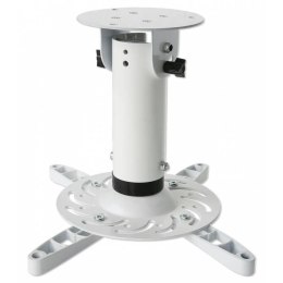 TECHLY Uchwyt do projektora 20 cm sufitowy obrotowy uchylny WH 022274