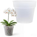 DONICZKA PLANTI PRZEŹROCZYSTA 16CM