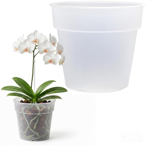 DONICZKA PLANTI PRZEŹROCZYSTA 16CM