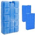 WKŁAD DO LODÓWKI 2X200GR