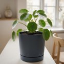 DONICZKA TUBO P ANTRACYT 20CM