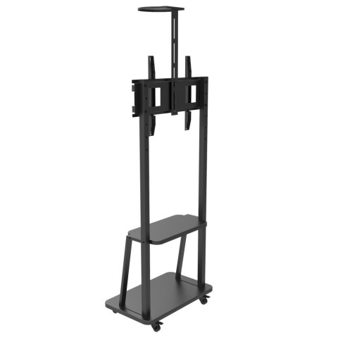 TECHLY Stojak mobilny TV 32-70" do 60kg regulowany 2 półki ICA-TR33