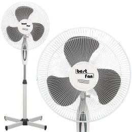 WENTYLATOR STOJĄCY BEST FAN 42W MAESTRO - 2szt