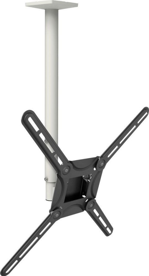 TECHLY Uchwyt sufitowy do TV 13-65" LED/LCD 40kg regulowany 3500