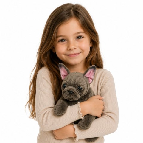 Pluszowa Maskotka Przytulanka Piesek Buldog Francuski Brązowy 22 cm