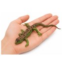 Jaszczurka Zwinka Gumowa Figurka Rozciągliwa Realistyczna 15 cm