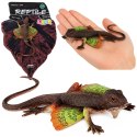Jaszczurka Agama Błoniasta Gumowa Figurka Rozciągliwa Realistyczna 13 cm