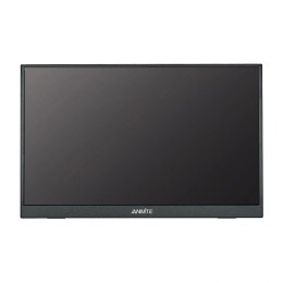 Monitor przenośny ANMITE A160W03H 16