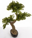 Sztuczne Drzewko Bonsai ART-POL
