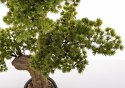 Sztuczne Drzewko Bonsai ART-POL