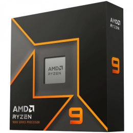 AMD Ryzen 9 9900X (4.40 GHz, 76 MB, 120W, AM5) Box, with Radeon Graphics