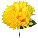 Chryzantema pojedynka w kolorze żółtym 65 cm