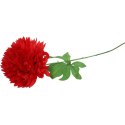 CHRYZANTEMA POJEDYKA CZERWONA FI 22CM