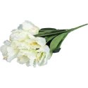 Bukiet 7 TULIPANÓW PAPUZICH 54 cm BIAŁY