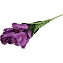 Bukiet 7 TULIPANÓW PAPUZICH 54 cm FIOLETOWY