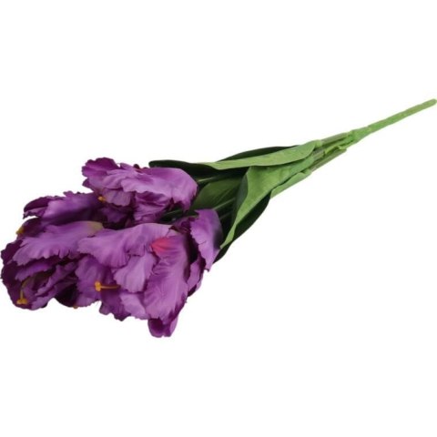 Bukiet 7 TULIPANÓW PAPUZICH 54 cm FIOLETOWY