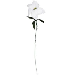 Kwiat pojedynczy Gwiazda Betlejemska Poinsecja 64 cm BIAŁA