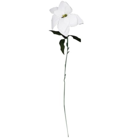 Kwiat pojedynczy Gwiazda Betlejemska Poinsecja 64 cm BIAŁA